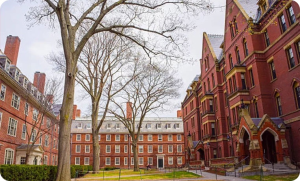 【公寓家具】珠海信德横琴口岸公寓