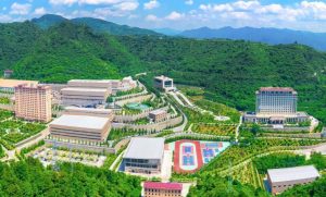 【公寓家具】金徽矿业采矿楼